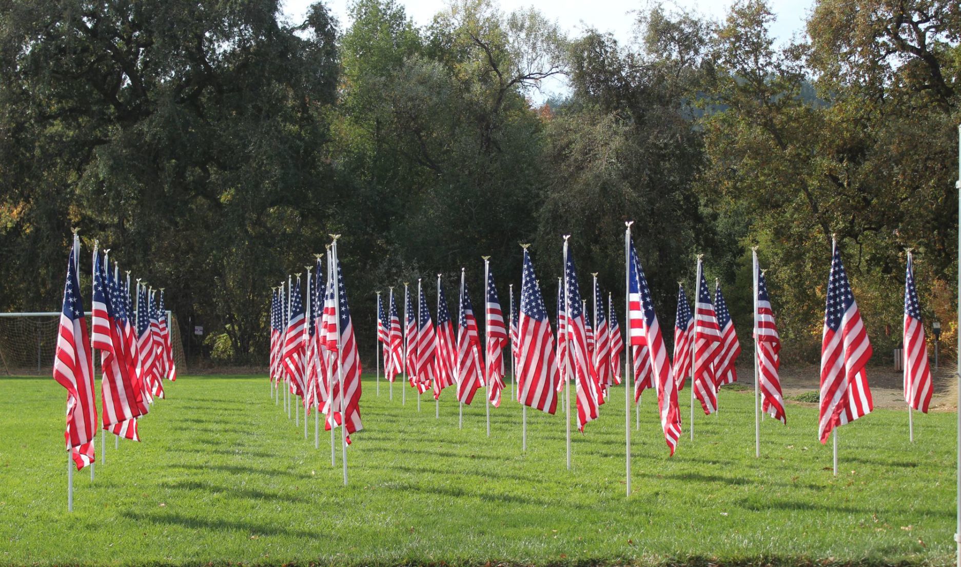 Calistoga Veterans Day 2019